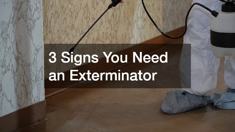 3 Signs You Need an Exterminator